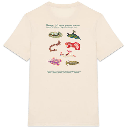 T-shirt Kumataro Ito