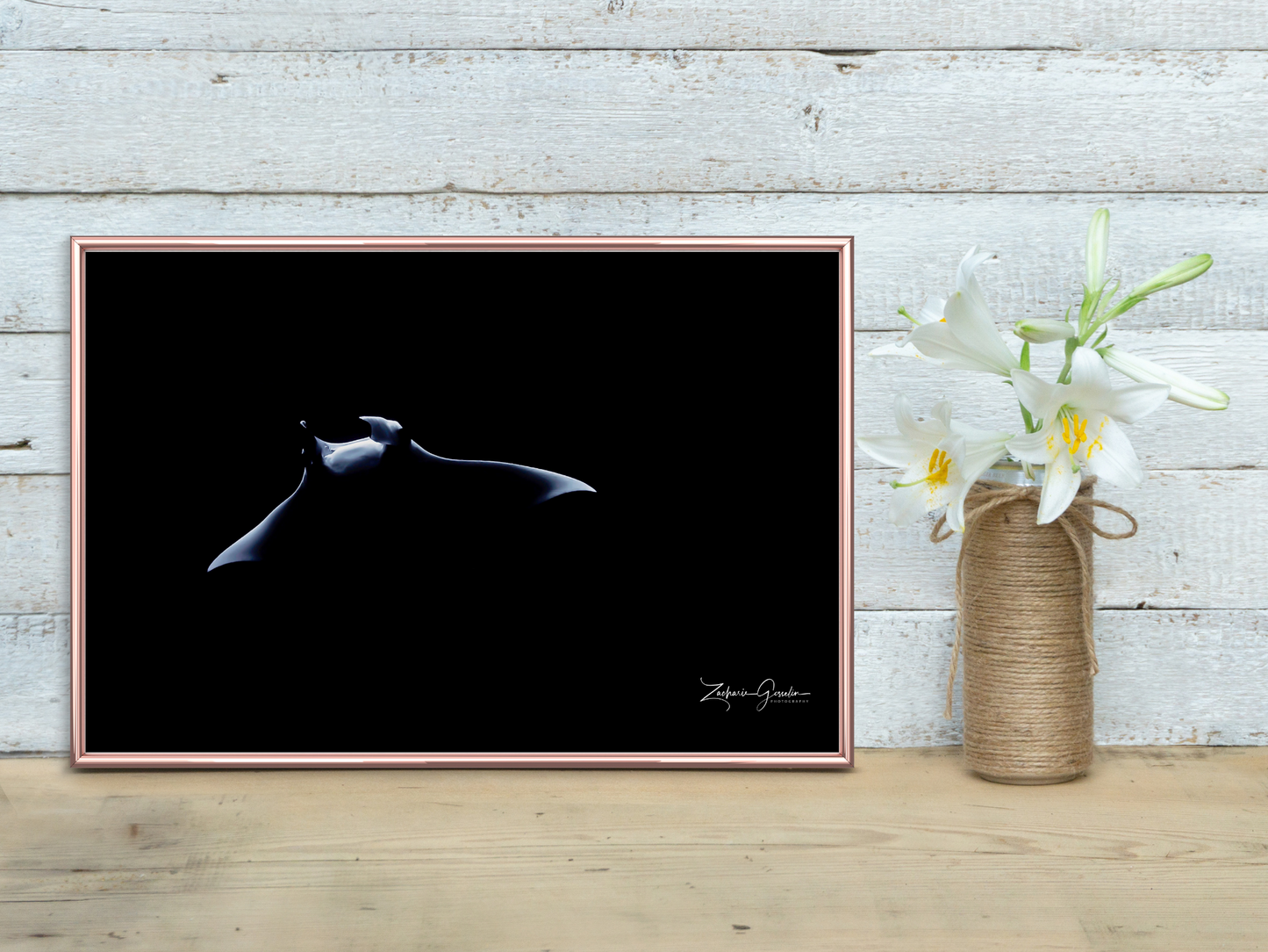 Photo sous-marine - Raie manta dans un cadre