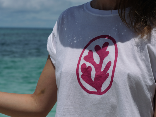 Crop top fragment
